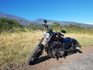 USA, Maui, Harley Davidson Sportster 883