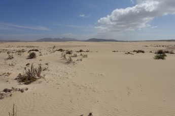 Fuerteventura: Parque Natural de Corralejo