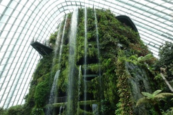 Singapur: Cloud Forest