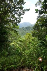 St. Lucia, Millet bird sanctuary and nature trail